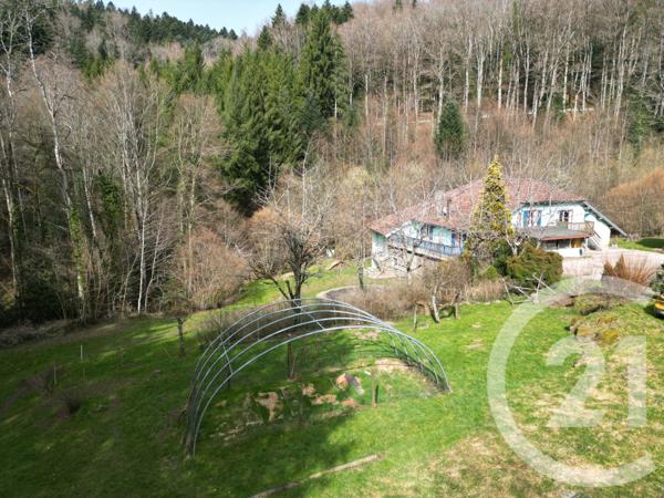 Maison à vendre  12 pièces - 925,43 m2 BAN DE SAPT - 88