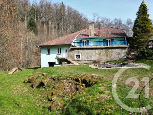 Maison à vendre  12 pièces - 925,43 m2 BAN DE SAPT - 88