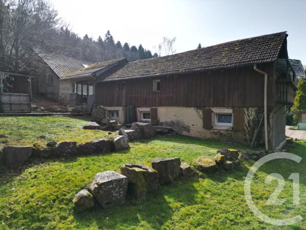 Maison à vendre  12 pièces - 925,43 m2 BAN DE SAPT - 88