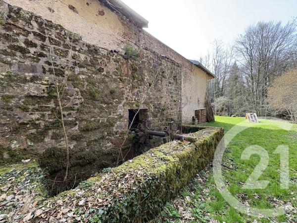 Maison à vendre  12 pièces - 925,43 m2 BAN DE SAPT - 88