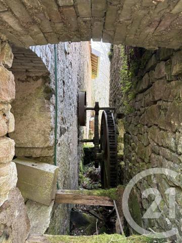 Maison à vendre  12 pièces - 925,43 m2 BAN DE SAPT - 88