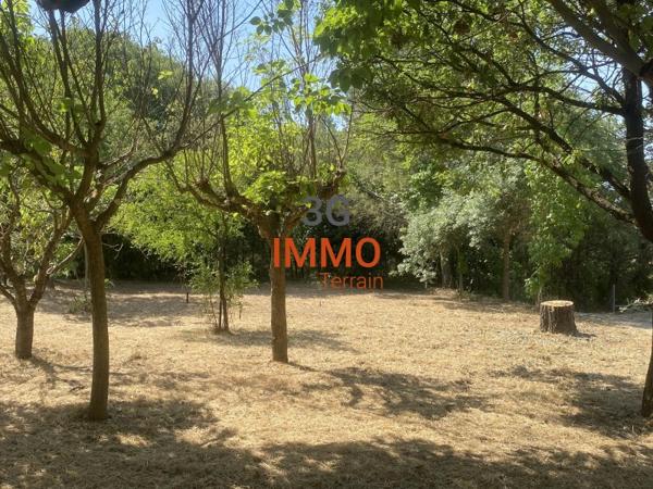 Vente / Terrain constructible