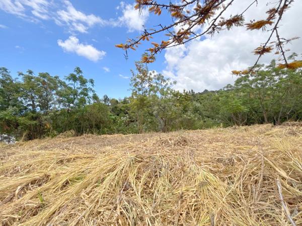 Terrain constructible de 722 m² – Entre ciel, mer et nature préservée.
