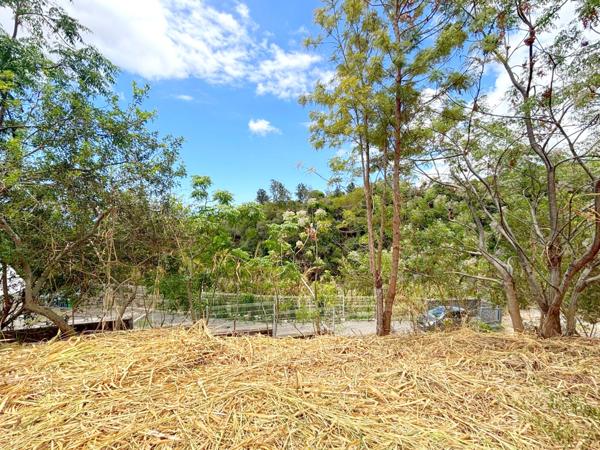 Terrain constructible de 722 m² – Entre ciel, mer et nature préservée.