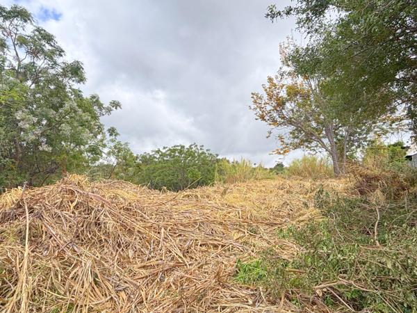 Terrain constructible de 722 m² – Entre ciel, mer et nature préservée.
