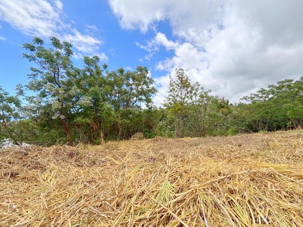 Terrain constructible de 722 m² – Entre ciel, mer et nature préservée.