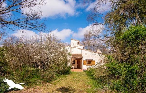 Maison à vendre |  Saverdun |  9 pièces | 220 m²