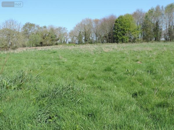 Maison à vendre à Plestin-les-Grèves dans les Côtes-d'Armor (22310), ref : 22069-1860