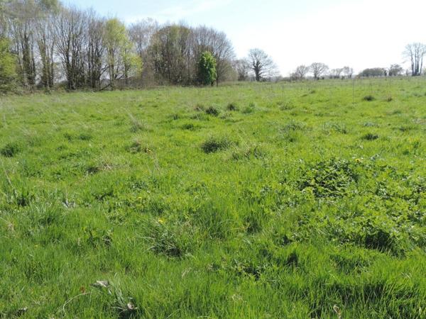 Maison à vendre à Plestin-les-Grèves dans les Côtes-d'Armor (22310), ref : 22069-1860