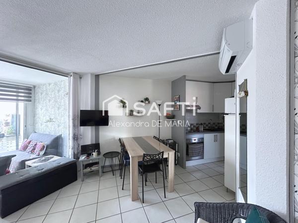 appartement t2 rénové et climatisé vue étang