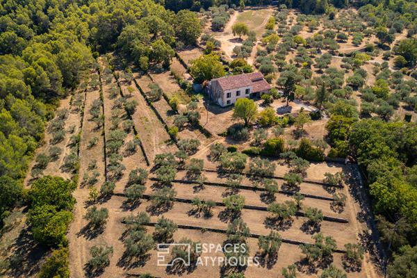 Propriété historique du 15e siècle et son domaine oléicole