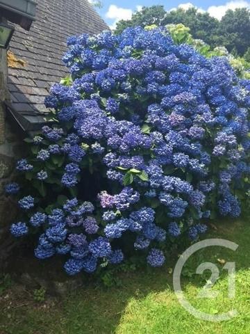 Maison à vendre  6 pièces - 121 m2 NIVILLAC - 56