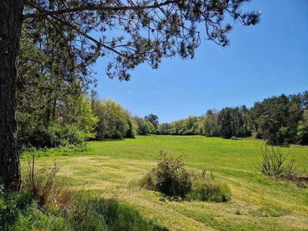 Gîtes chambres d'hôtes - Le bugue Propriété de charme – 3 maisons sur 2 ha, sans vis-à-vis, piscine, gîtes prêts à exploiter