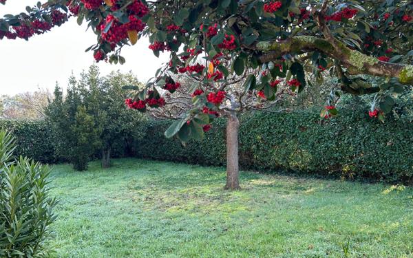 Maison à vendre    3 pièces • 52 m2 Le Croisic