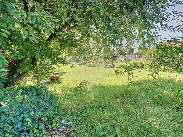 Terrain  en vente - Haut-Rhin - 68