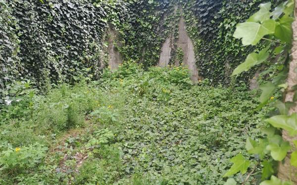Appartement à vendre    2 pièces •  Boeil-Bezing
