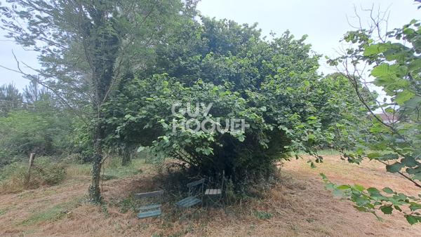 Maison à rénover RION DES LANDES (40370)
