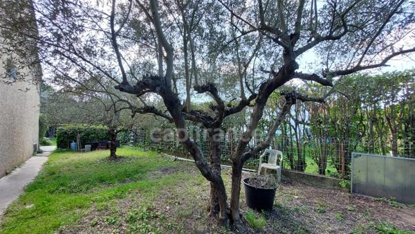 Barbentane – Maison individuelle plain-pied, 3 chambres avec jardin et garage