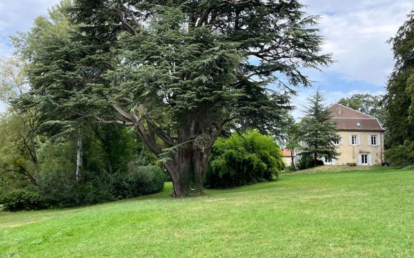 Maison à vendre    13 pièces •  Moras-en-Valloire