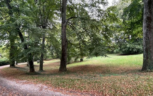 Maison à vendre    13 pièces •  Moras-en-Valloire