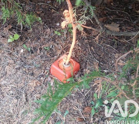 Terrain à vendre 530 m² Générac