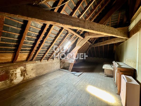 SUPERBE MAISON DE MAÎTRE AVEC FORT POTENTIEL – NEUVILLE-AUX-BOIS (45170)