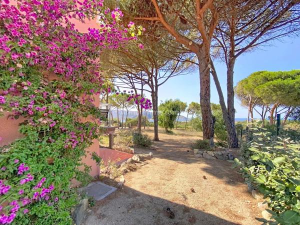 Vente                                                      Maison
                        
                     4 pièces                      90 m2                     à Calvi