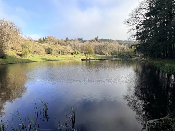 Une vue imprenable sur le lac, le tout dans un pavillon indépendant niché au cœur de magnifiques jardins privés.