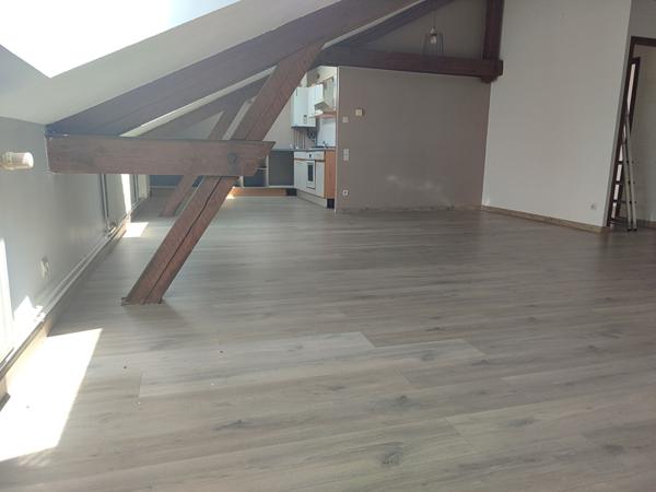 F3 RUE DOCTEUR CHAPUIS TOUL