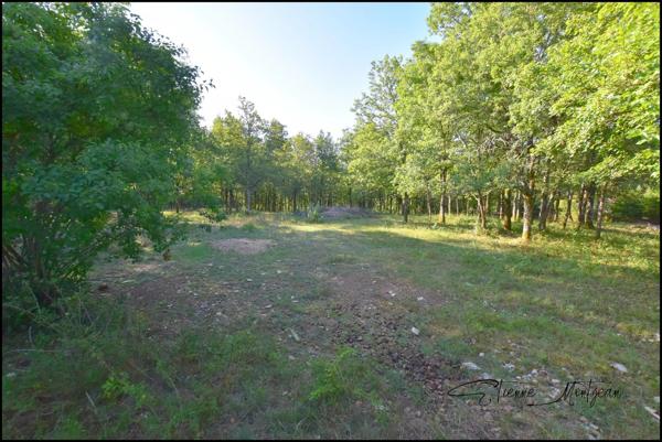 Terrain constructible 1000 m² à Thédirac