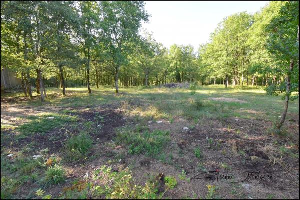 Terrain constructible 1000 m² à Thédirac