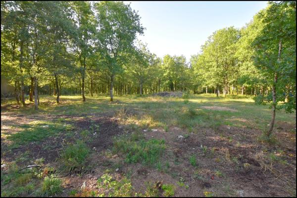 Terrain constructible 1000 m² à Thédirac