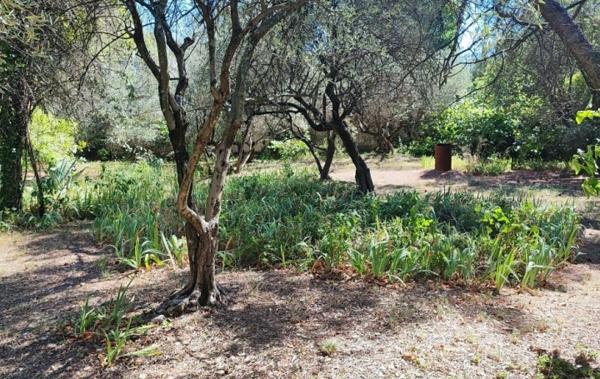 Vente Terrain Constructible Nimes   