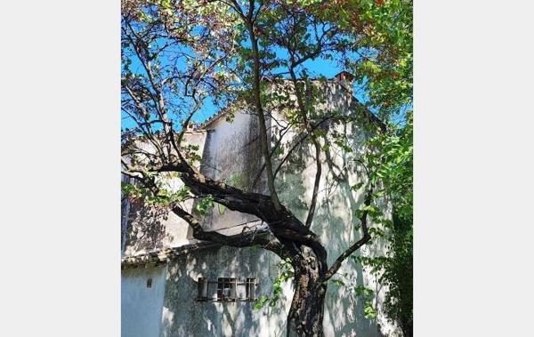 Vente Terrain Constructible Nimes   