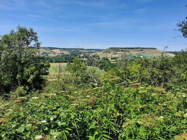 Charmante maison rénovée, avec un grand jardin - à pied des commerces