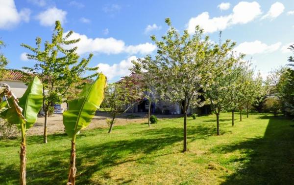 Vente Maison à rafraîchir Sauze-vaussais   
