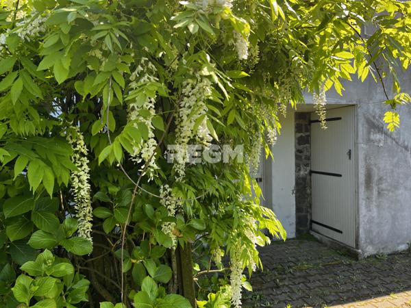 Saint-Malo (35400) Maison 6P, 109m2 (+ 35 m2). A rénover. Courtoisville.