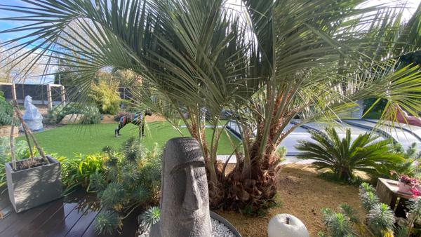 Maison Saint Hilaire De Riez 5 pièce(s) 129 m2