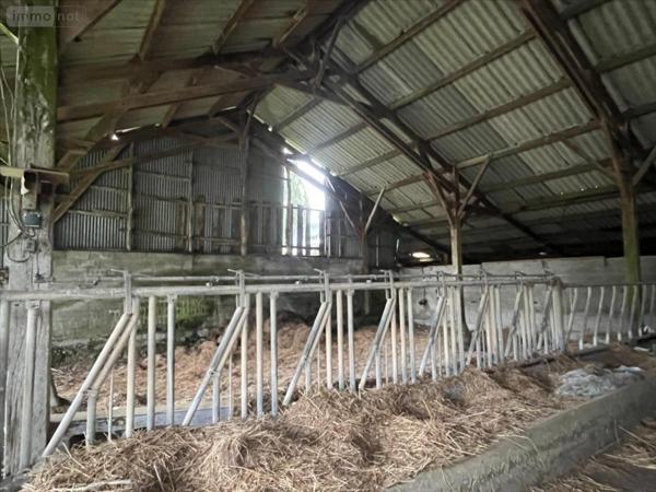 Corps de ferme à vendre à Carnoët dans les Côtes-d'Armor (22160), ref : 29066-1084147