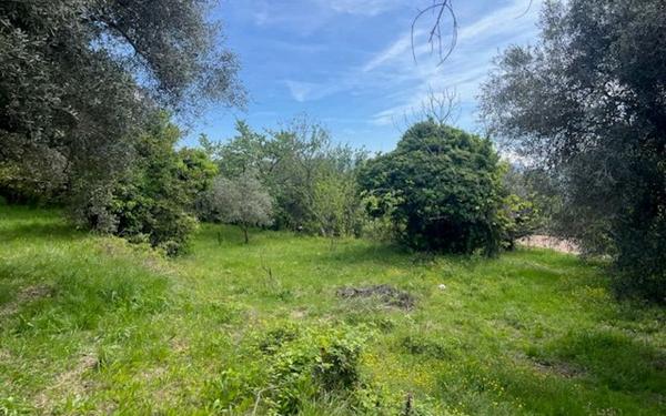 Terrain à vendre    Contes