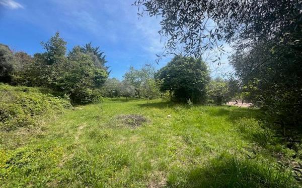 Terrain à vendre    Contes