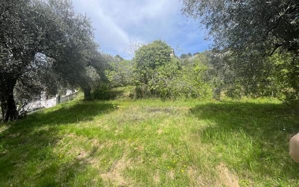 Terrain à vendre    Contes