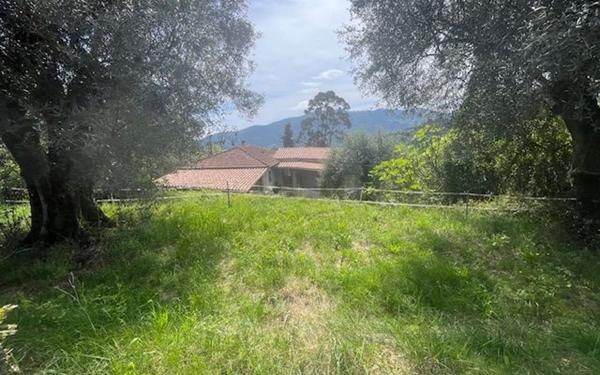 Terrain à vendre    Contes