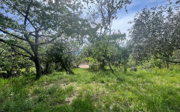 Terrain à vendre    Contes