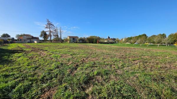 terrain borné