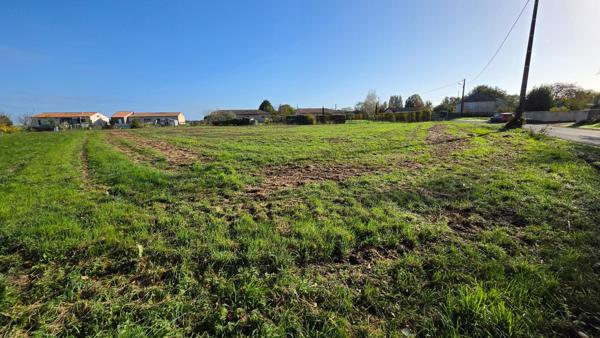 terrain borné