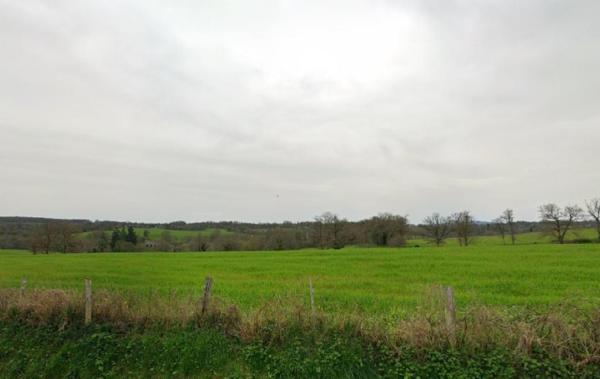 Vente Terrain Saint-martin-le-vieux   