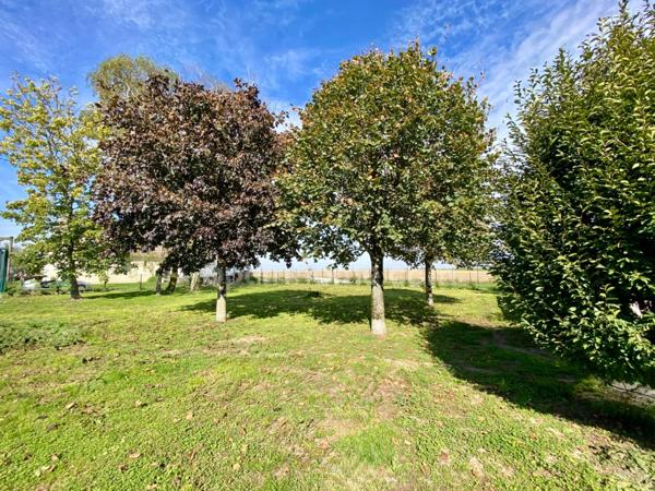 Authentique Briarde de charme rénovée – 170 m² habitables sur 1300 m² de terrain – Saint-Just-en-Brie