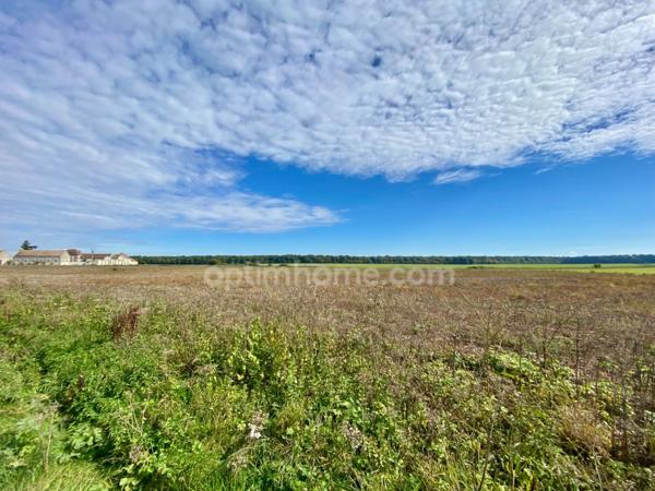 Authentique Briarde de charme rénovée – 170 m² habitables sur 1300 m² de terrain – Saint-Just-en-Brie