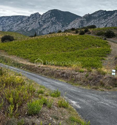 Terrain viticole de 4 915 m²